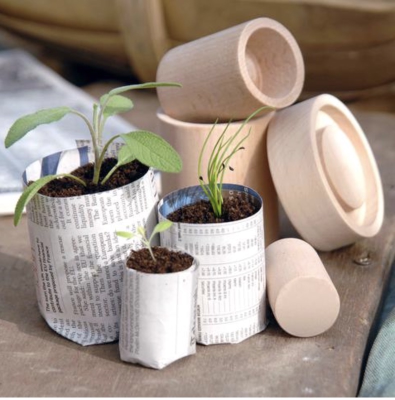 Make a seedling pot 